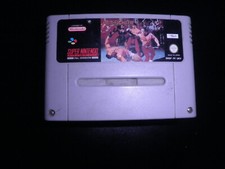 Super Nintendo SNES - pit fighter - somente carrinho comprar usado  Enviando para Brazil