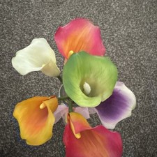 Stems artificial real for sale  Statesboro