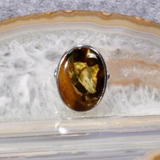 Pietersit ring 925er gebraucht kaufen  Berlin