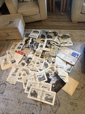 Huge rare shell for sale  HONITON