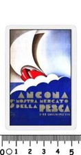 Calamita ancona mostra usato  Italia