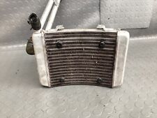 Radiatore acqua bmw usato  Napoli