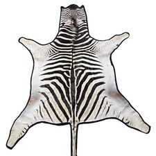 Real zebra skin for sale  Champlain