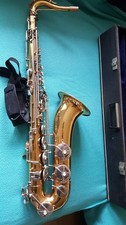 Saxophon alt borgani gebraucht kaufen  Würzburg