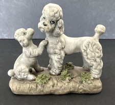 Poodles mom puppy for sale  Fort Wayne
