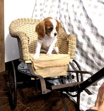 Antique wicker baby for sale  Windsor
