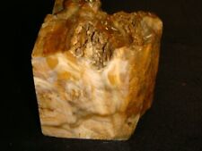 Old saddle petrified for sale  Dyer