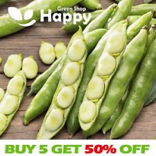 Broad bean windsor for sale  DONCASTER