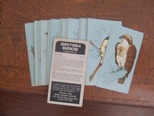 Tetley british birds for sale  WORTHING