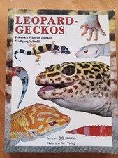 Henkel schmidt leopardgeckos gebraucht kaufen  Alzenau