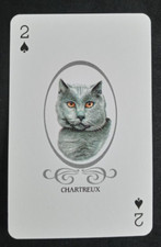 Cat lovers playing d'occasion  Expédié en Belgium