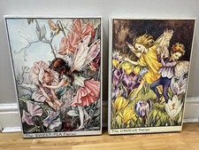 Flower fairies cicely for sale  ASCOT