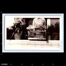 Old vintage photo for sale  Grass Valley