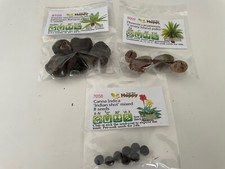 Tropical jungle plant for sale  KINGSWINFORD
