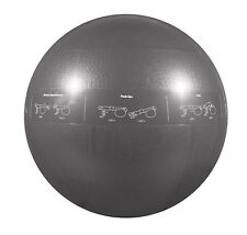 Pilates yogaball gymnastikball gebraucht kaufen  Eilenburg