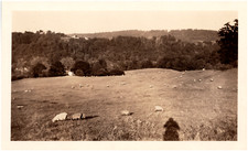 Sheep grazing farm for sale  Hagerstown