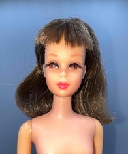 Vintage barbie tnt for sale  Williamsburg