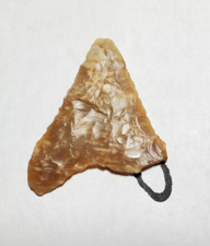 Columbia mule ear for sale  Allyn
