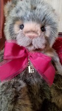 clinton bear for sale clinton bear for sale BELFAST