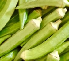 Okra clemson spineless for sale  DEWSBURY
