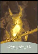 Encart cef animaux d'occasion  Crécy-la-Chapelle