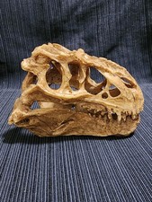 Detailed rex dinosaur for sale  Santa Clara