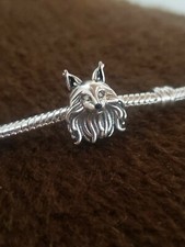 Charm maine coon d'occasion  Thiaucourt-Regniéville