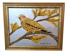 Northern flicker bird for sale  Oregon