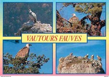 Animals birds wild d'occasion  Expédié en Belgium