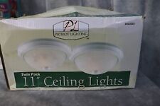 Patriot lighting twin for sale  Danbury