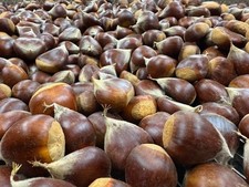 Fresh sweet chestnuts for sale  Amboy
