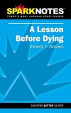 Spark notes lesson for sale  Philadelphia