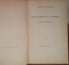 Sanctis saggio critico usato  Fonte Nuova