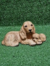Stunning harvey knox for sale  NORTHAMPTON
