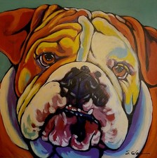 Sally evans bulldog for sale  Lafayette
