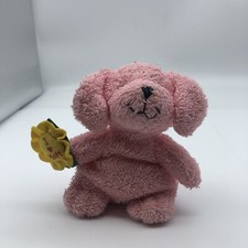 Cute terrycloth puppy for sale  Williams