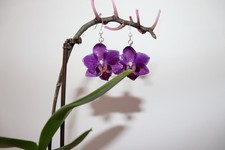 Orecchini orchidea vera usato  Roma
