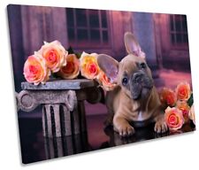 French bulldog puppy for sale  UK