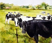 Holstein heaven cow for sale  Annandale