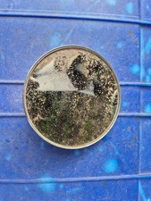 desmo mirror for sale desmo mirror for sale  EXETER