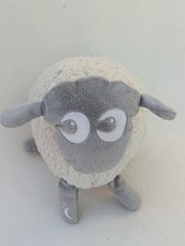 ewan dream sheep for sale ewan dream sheep for sale BEDFORD