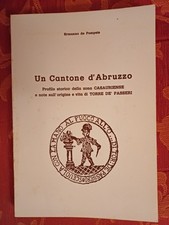 Abruzzo torre passeri usato  Montesilvano