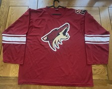 Nhl phoenix coyotes for sale  NOTTINGHAM