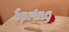 Scritta spring decorazione usato  Cortemilia