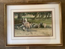 Watercolour painting neil for sale  UK
