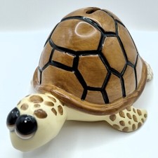 Turtle tortoise pet for sale  UK