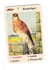 Sammelbild schüle hohenlohe gebraucht kaufen Sammelbild schüle hohenlohe gebraucht kaufen  Berlin