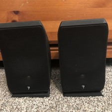 Pair focal sib for sale  Fort Collins