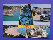 Carte postale erquy d'occasion  Angers-