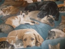 Cats dogs slumber for sale  Westminster